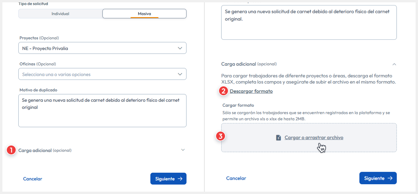 Vista de solicitud masiva resaltando los campos Carga adicional