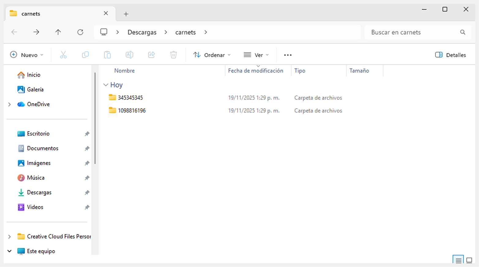 Visual de carpetas descargadas
